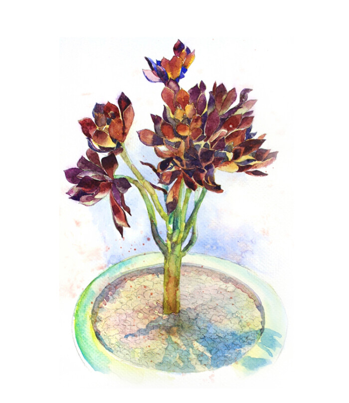 茅檐长扫净无苔,花木成畦手自栽.