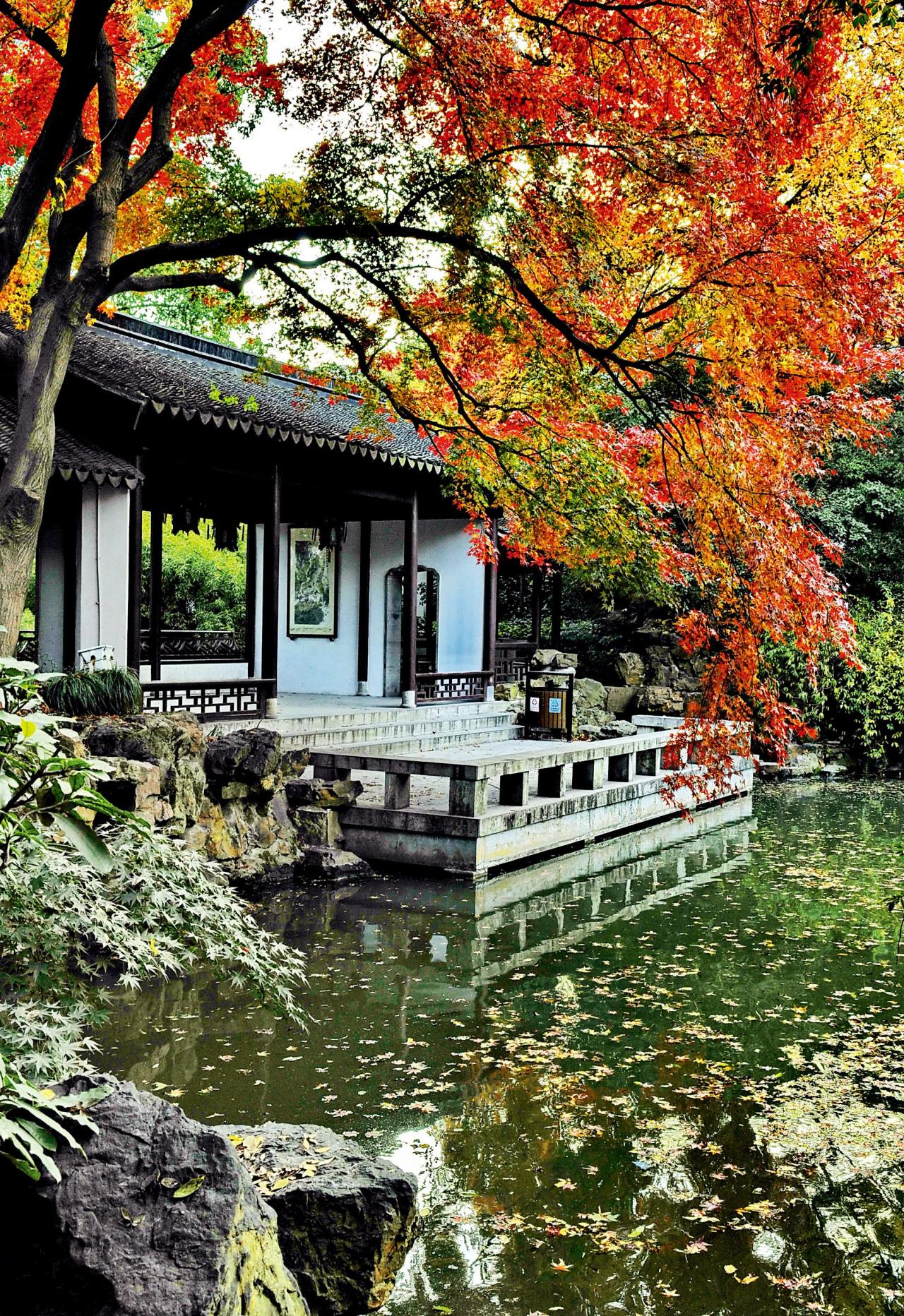 临水赏月,少不了亭台轩榭.图为寄畅园的先…-堆糖,美好生活研究所