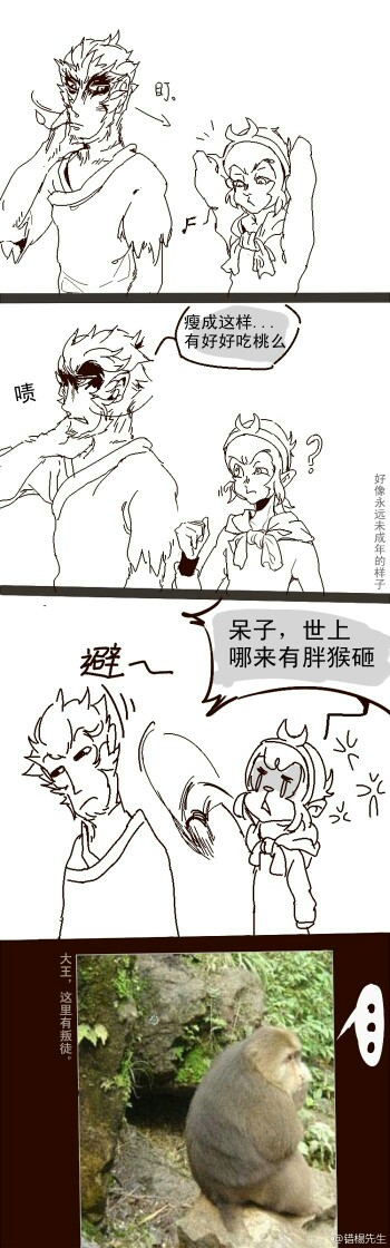 大圣猴哥1599漫画图片图片