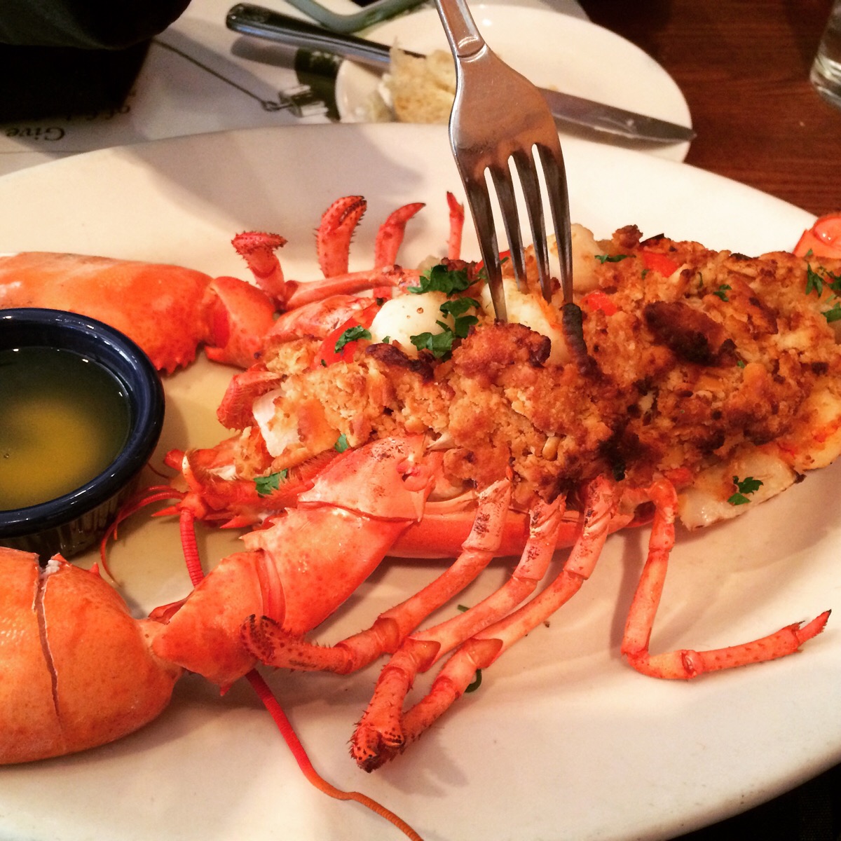 来啦来啦 legal sea food的龙虾 好吃啊!