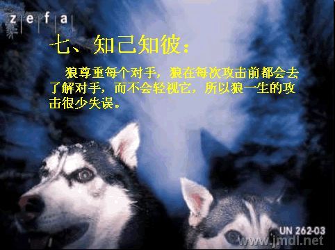 知己知彼