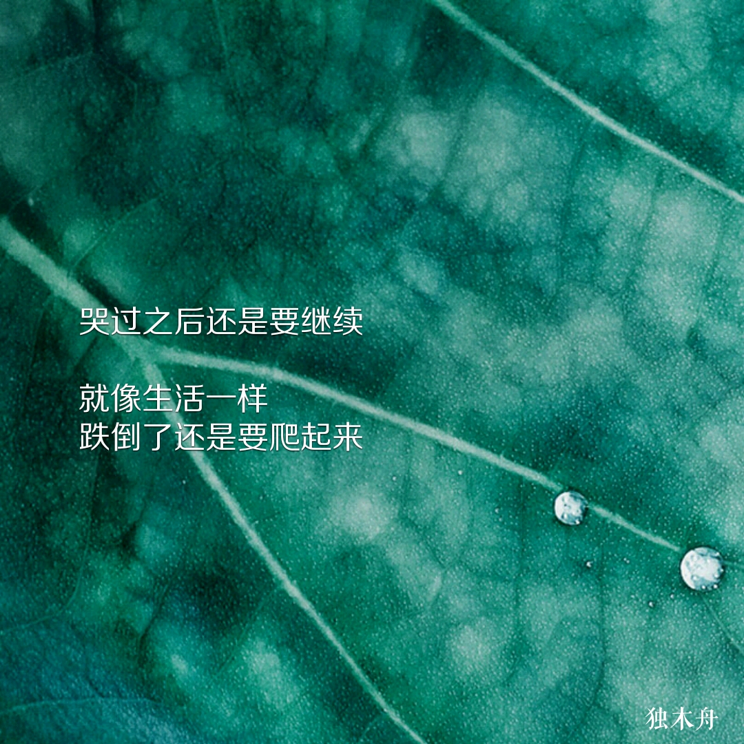 哭过之后,还是要继续,就像生活一样,跌倒了,还是要爬起来.
