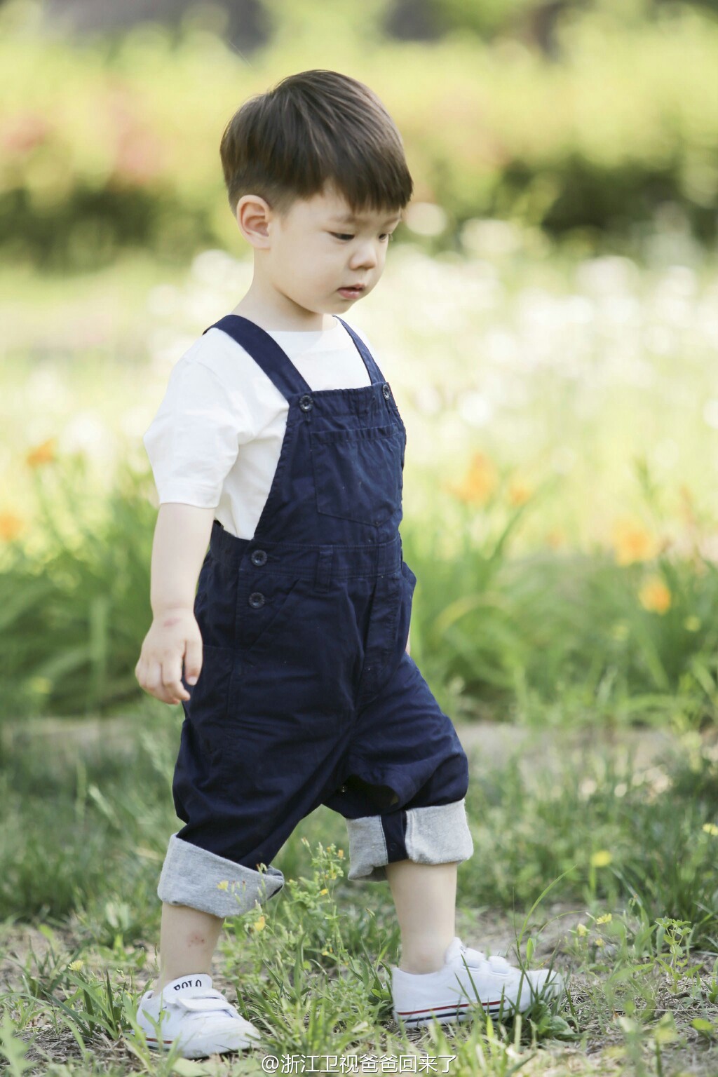 嗯哼大王,萌萌哒