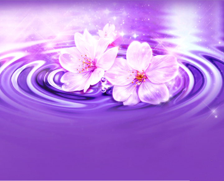 紫色的花