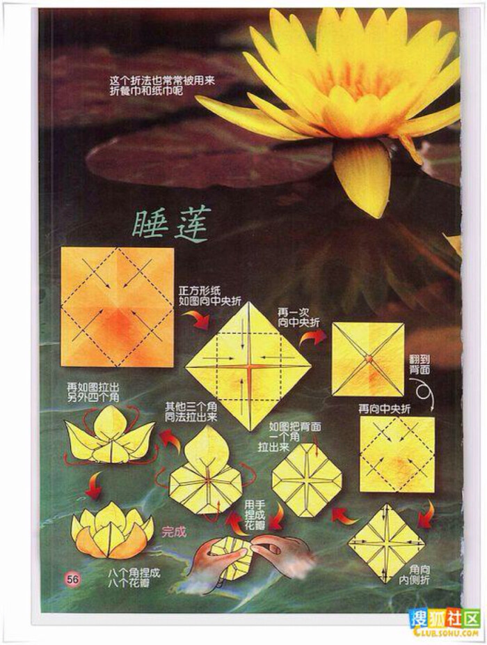 睡莲.折纸.花瓣折出来感觉又厚又短一点都不仙(ˇˇ)
