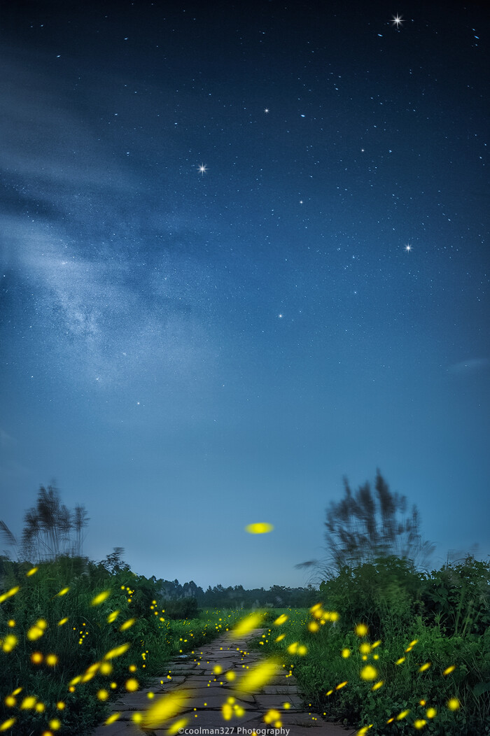 最近萤火虫很火爆,萤火虫拍摄可以用堆栈,数量不多也可爆出很多,还有
