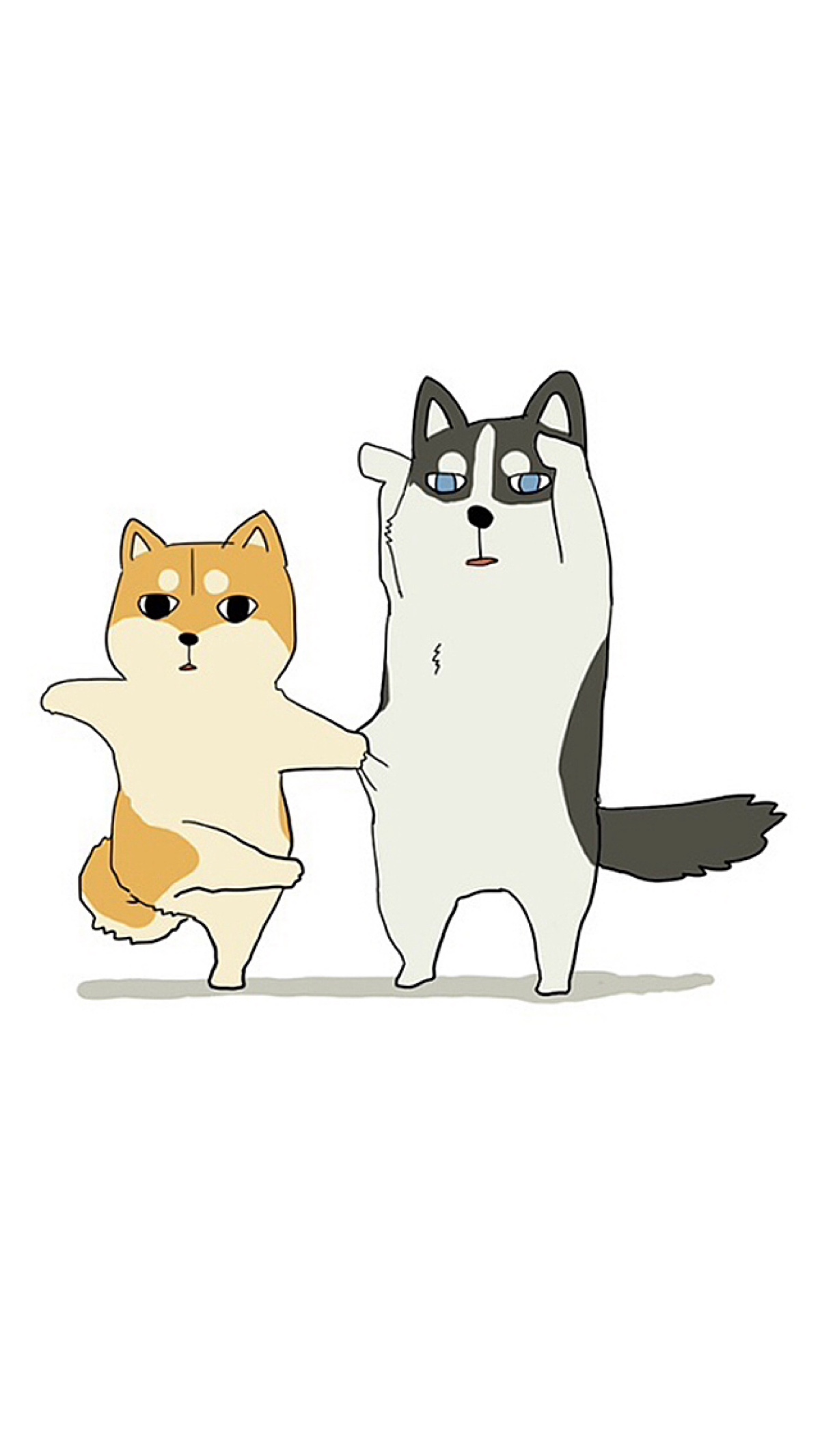 当神烦遇到二哈