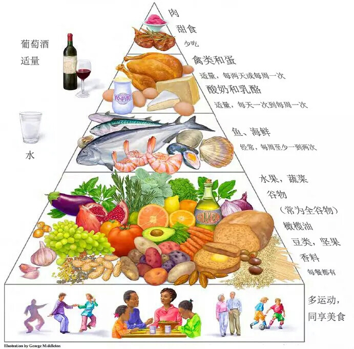 食物金字塔5层五层图片