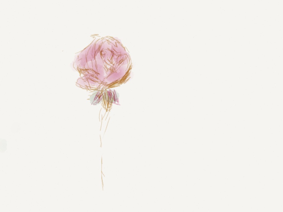 二次元 手绘 插画 一枝花 唯美 淡粉 简单