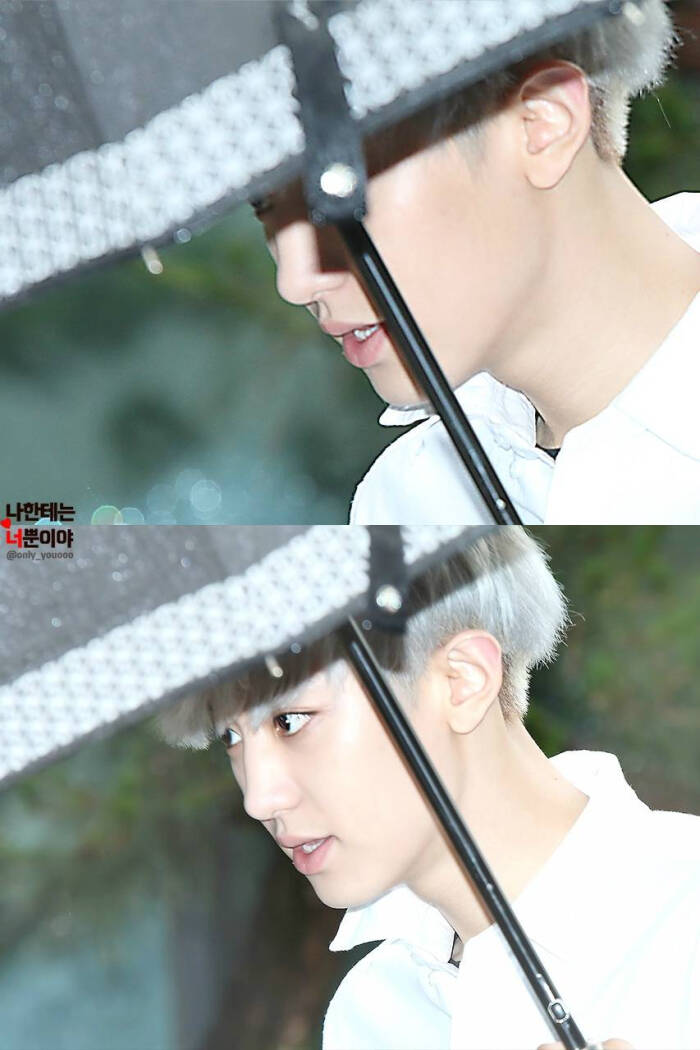 exo 朴灿烈 高清壁纸 少爷啊 cr:logo