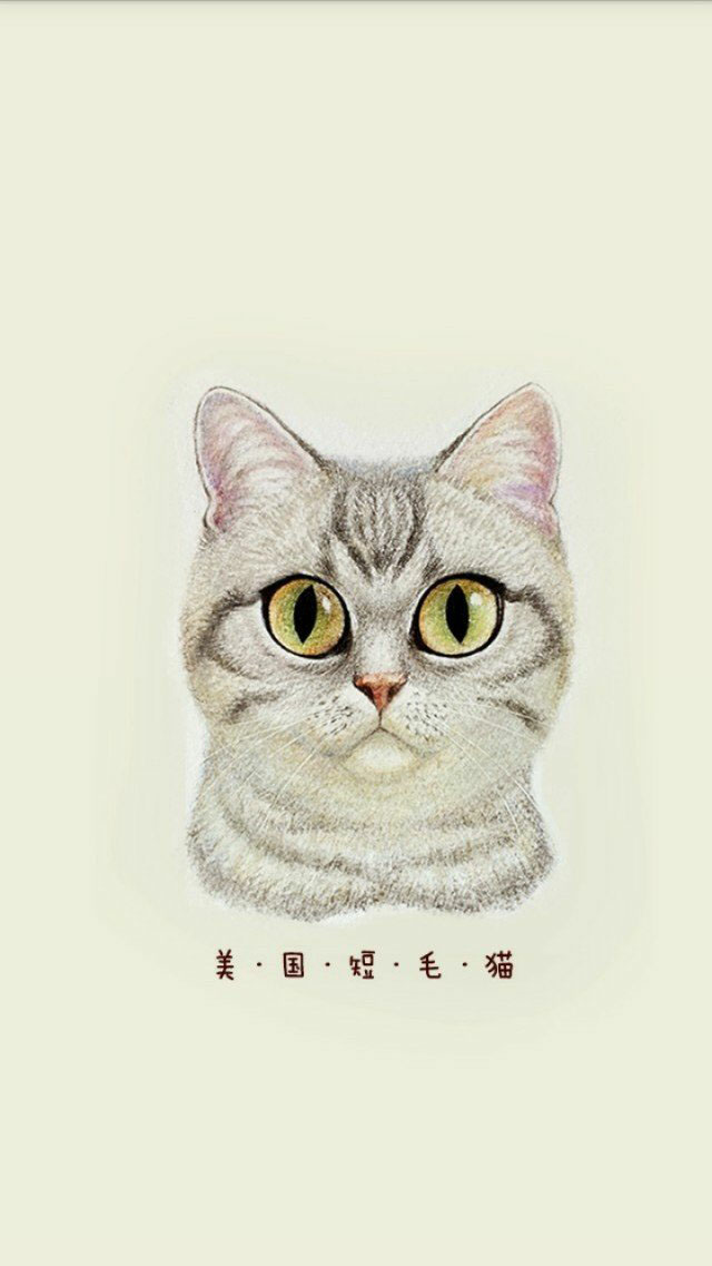一组唯美的手绘猫咪壁纸 安颜独家收藏的个性图片 头像 喜欢就抱走吧
