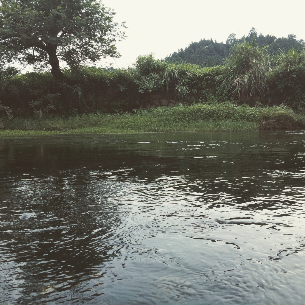 小河边拍摄,阴天