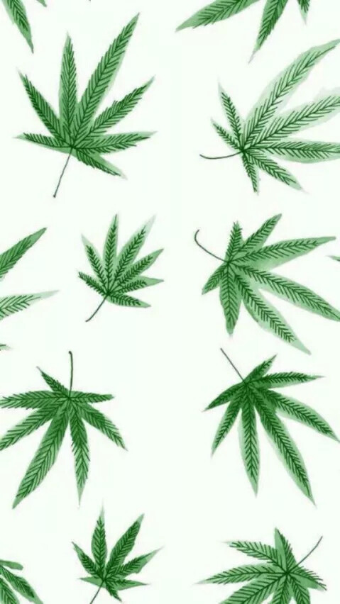 手机壁纸可爱 小清新 平铺 树叶图片