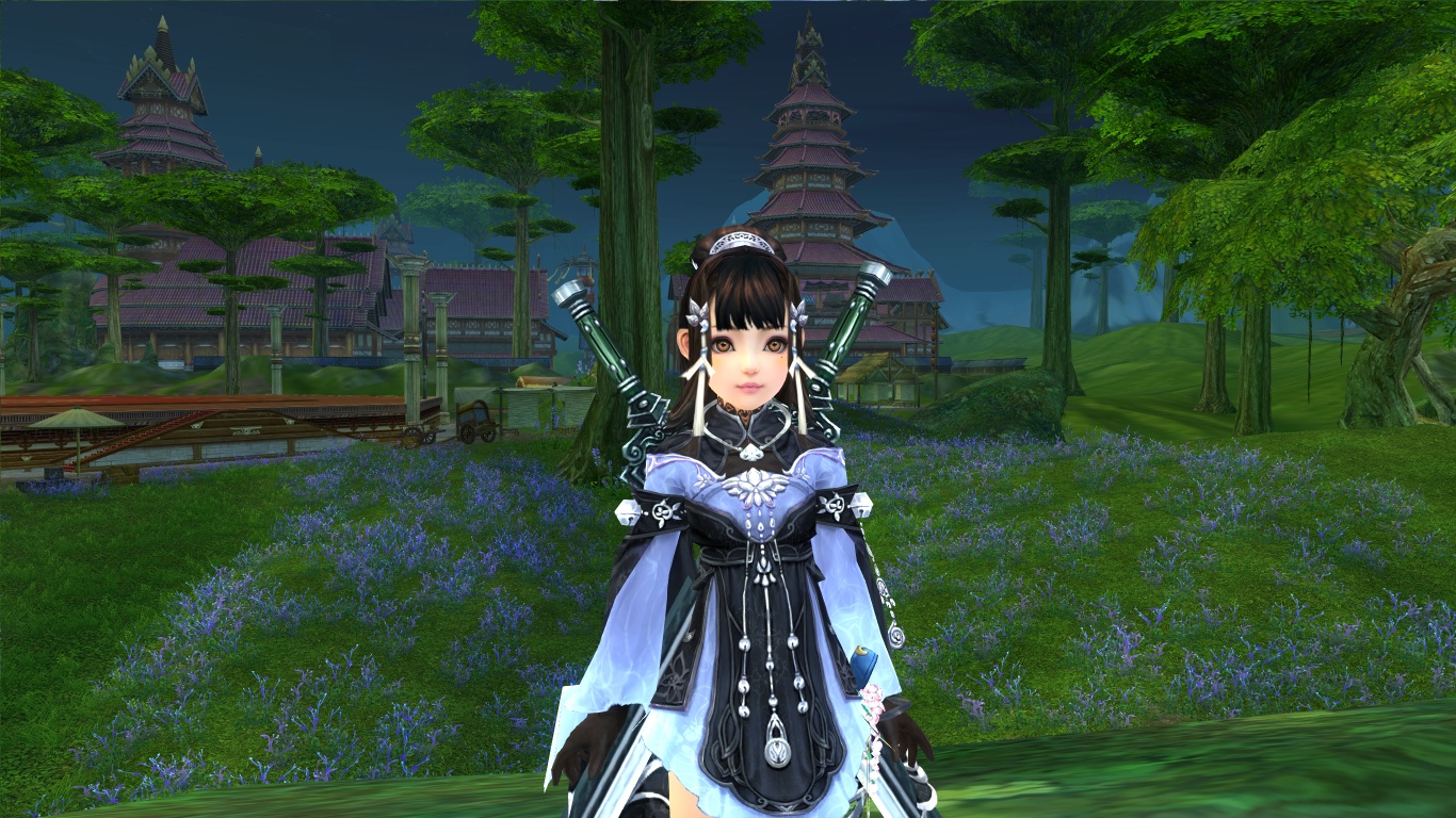 背上了秀秀的双剑