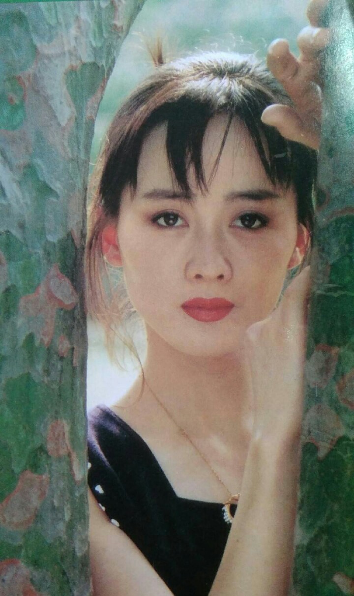 1995年,获得电视剧《趟过男人河的歌曲》,凭借一角星星主演大众亲子念女人经典电视剧电视知我心山杏图片