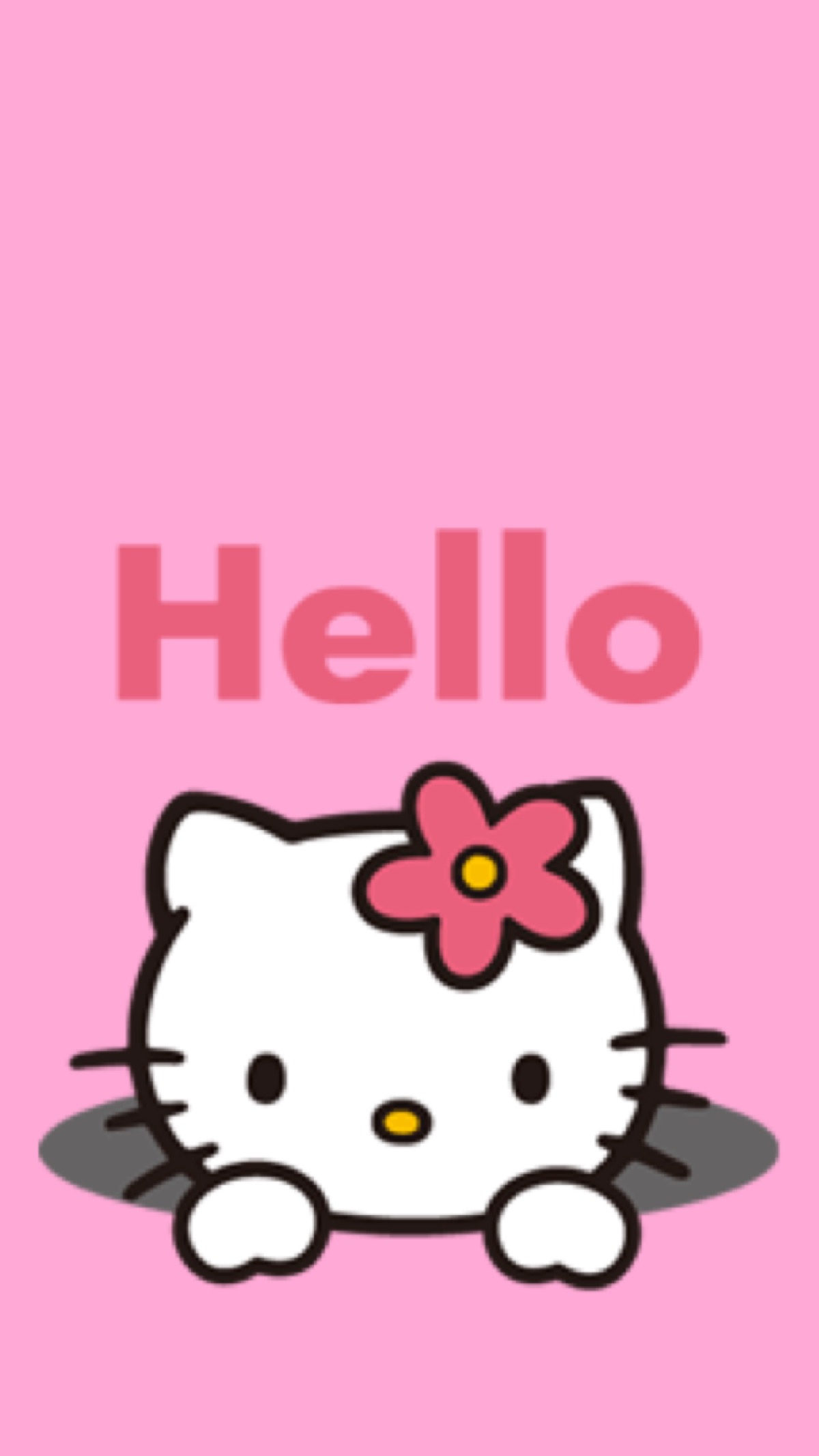 kitty是只胖猫咪