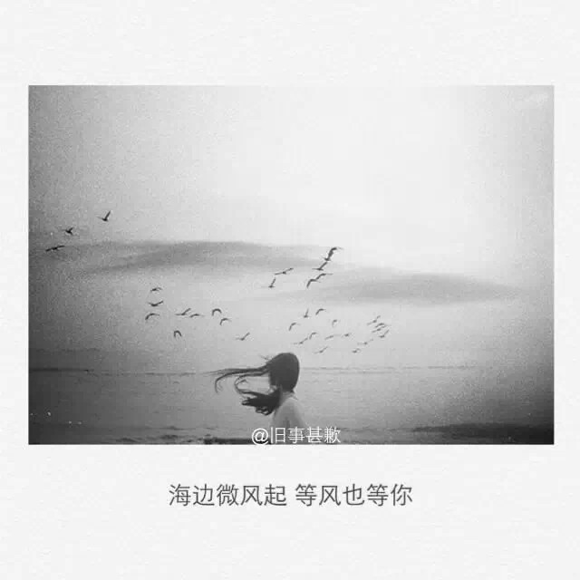 海边微风起,等风也等你.