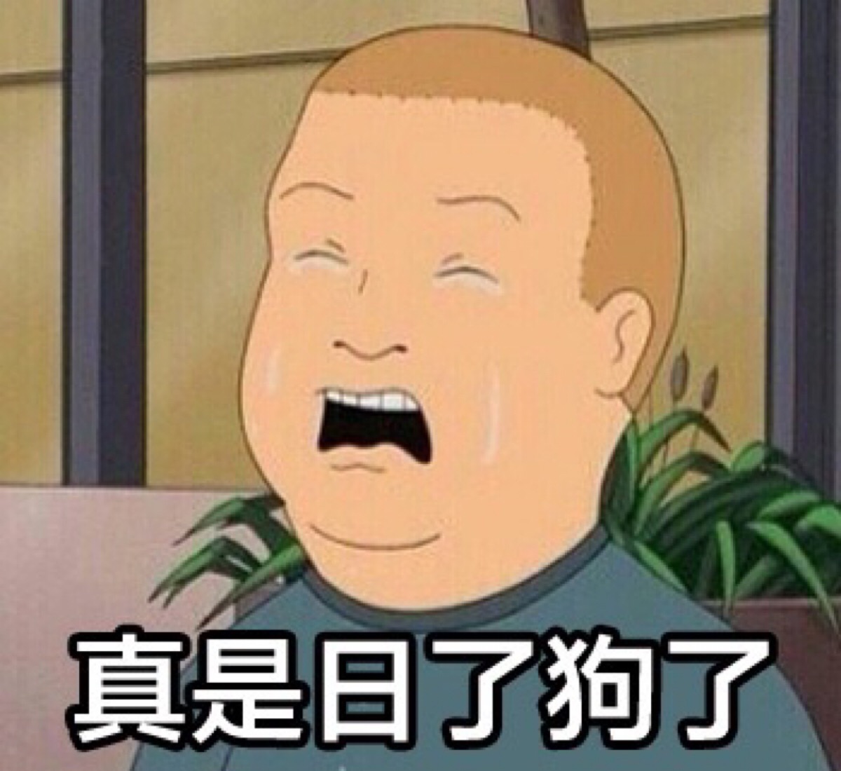 king of the hill 一家之主