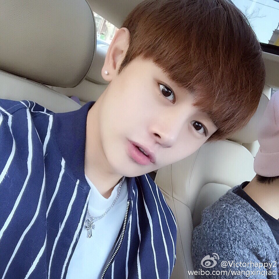 mn-堆糖,美好生活研究所