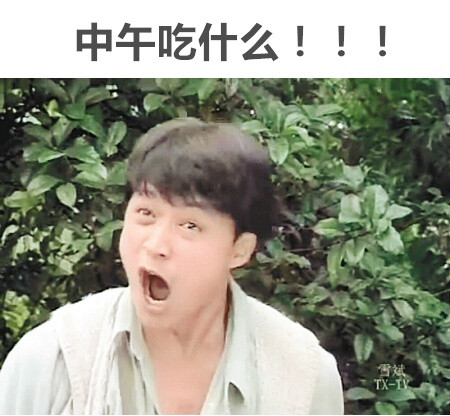 每天中午我问自己三百变的表情问题猪回复收到的表情图片中午吃图片