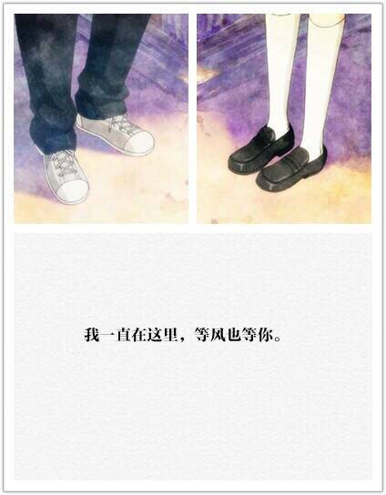 我一直在这里,等风也等你