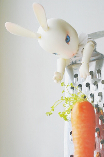 小兔子胡萝卜手机壁纸图片
