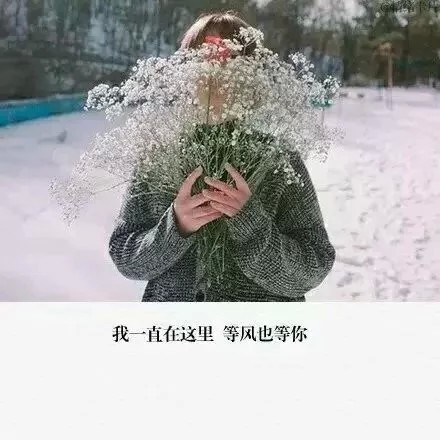 我一直在这里 等风也等你