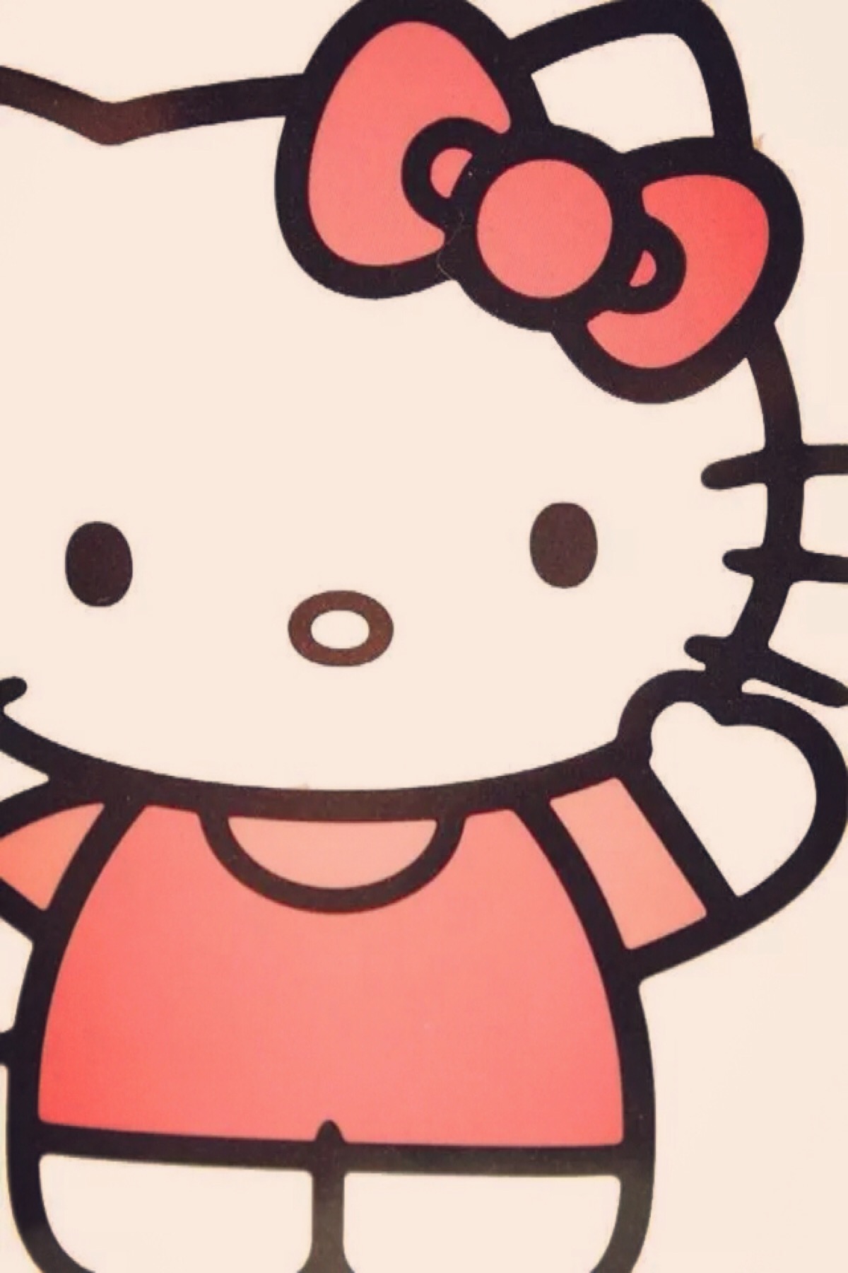 kitty是只胖猫咪