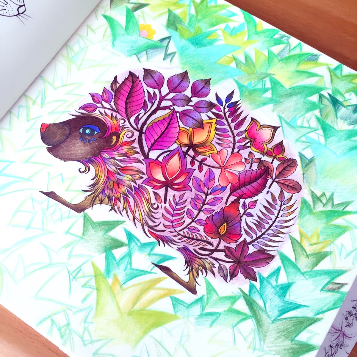 秘密花园#secret garden#魔法森林#enchanted forest
