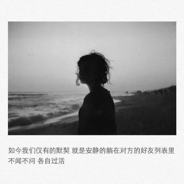 如今我们仅有的默契 就是安静的躺在对方的好友列表里不闻不问 各自过