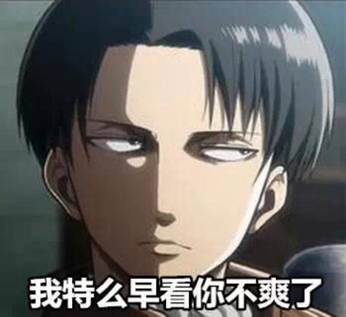 进击的巨人 兵长利威尔 表情包系列 白茶 .102