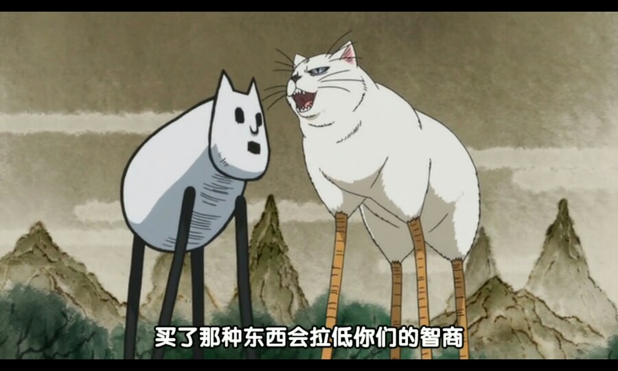 猫好好~