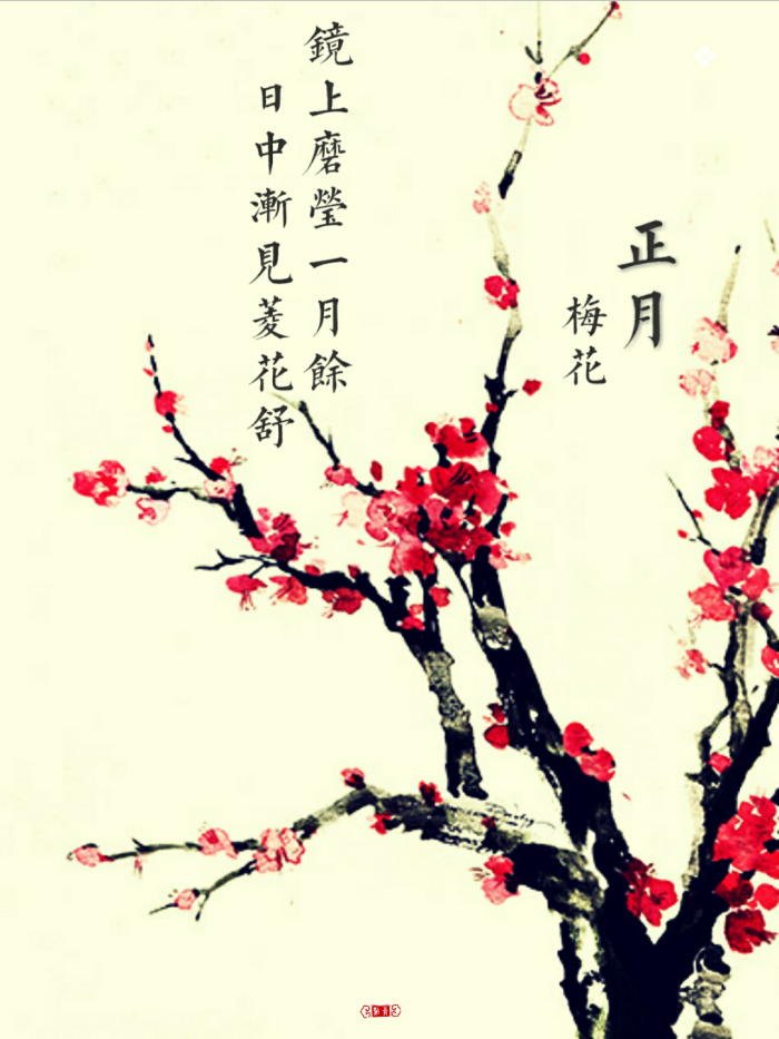 点青原创#手绘插画##十二月诗句##壁纸##红梅