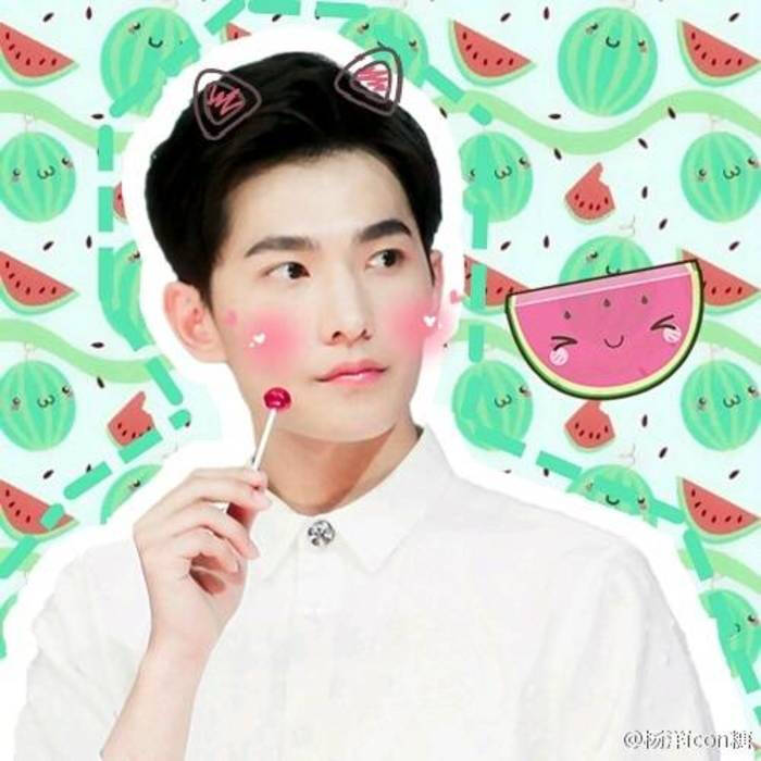 明星头像 杨洋