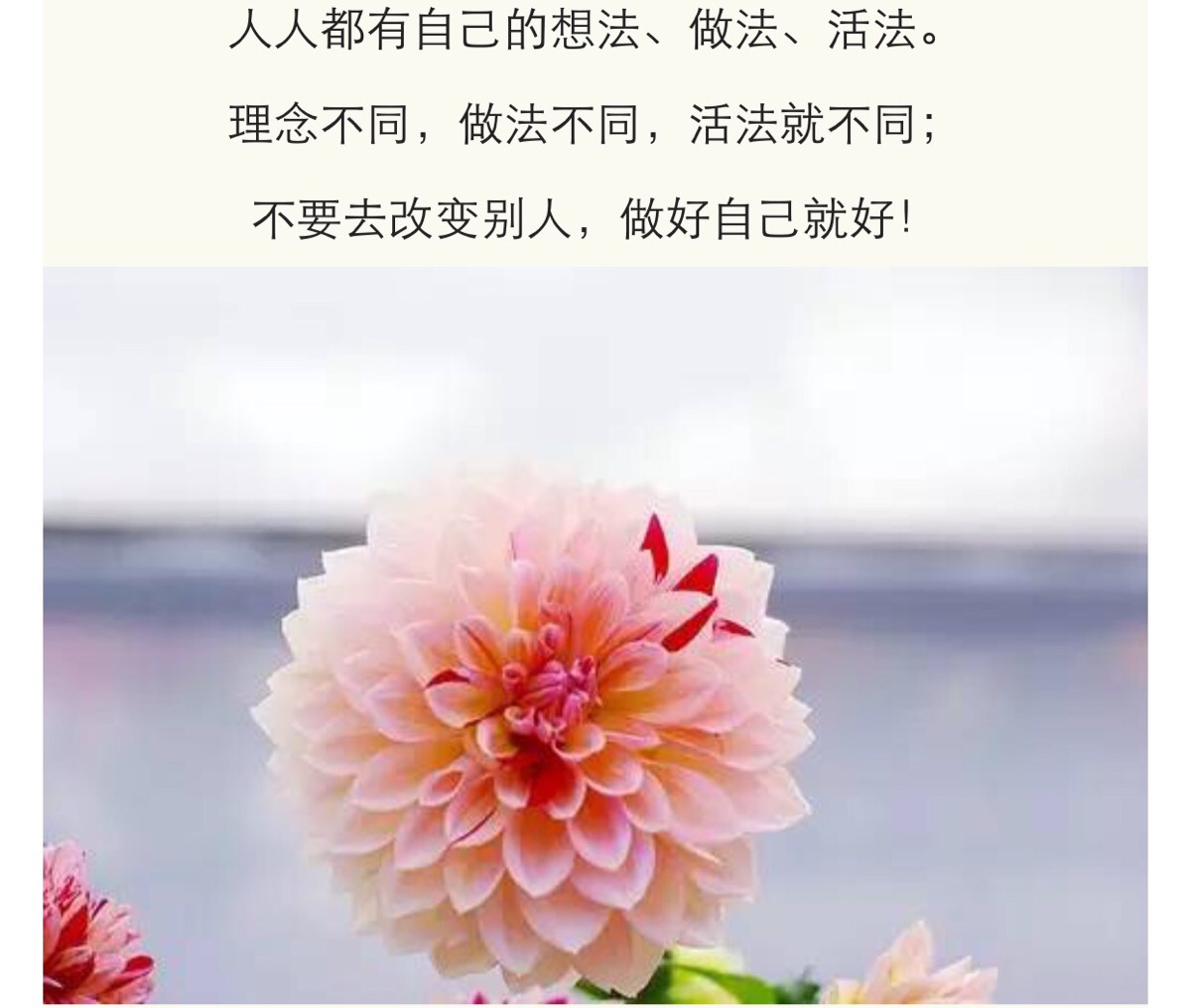 人人都有自尊,人人都有苦衷, 人人都有自己的想法,做法,活法.