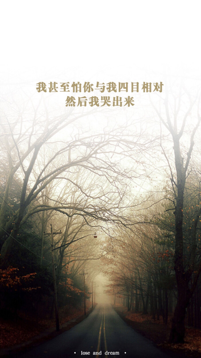 图片文字 文图 文字控 纯文字壁纸 锁屏 美美哒与屿会发光i
