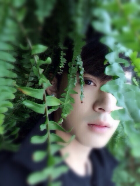 陈奕 森系壁纸 森系图片 男生头像