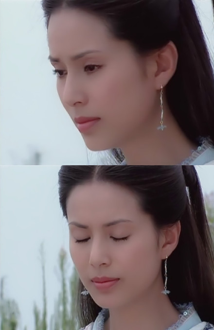 李若彤《杨门女将【杨八妹】佘太君之小女儿,冰雪聪明,能言善辩