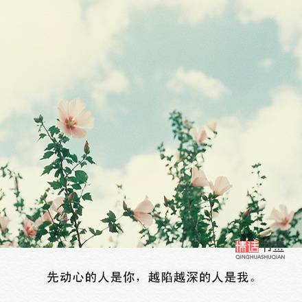 文字控##伤感短句##文字短句图片##治愈##青春##励志##by情话书签