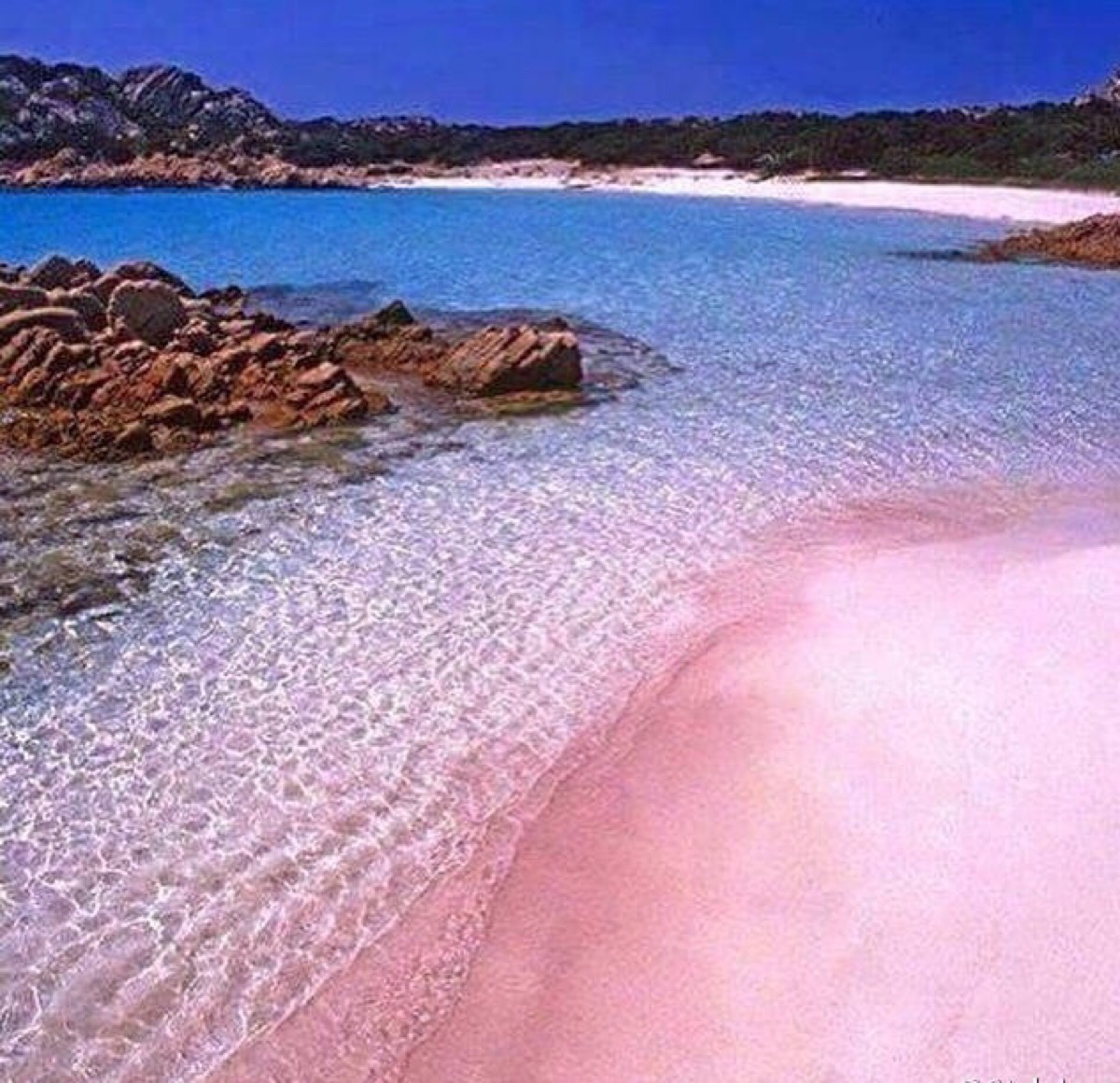 巴哈马哈勃岛的粉色沙滩 pink sands beach @猫眼中的平行世界