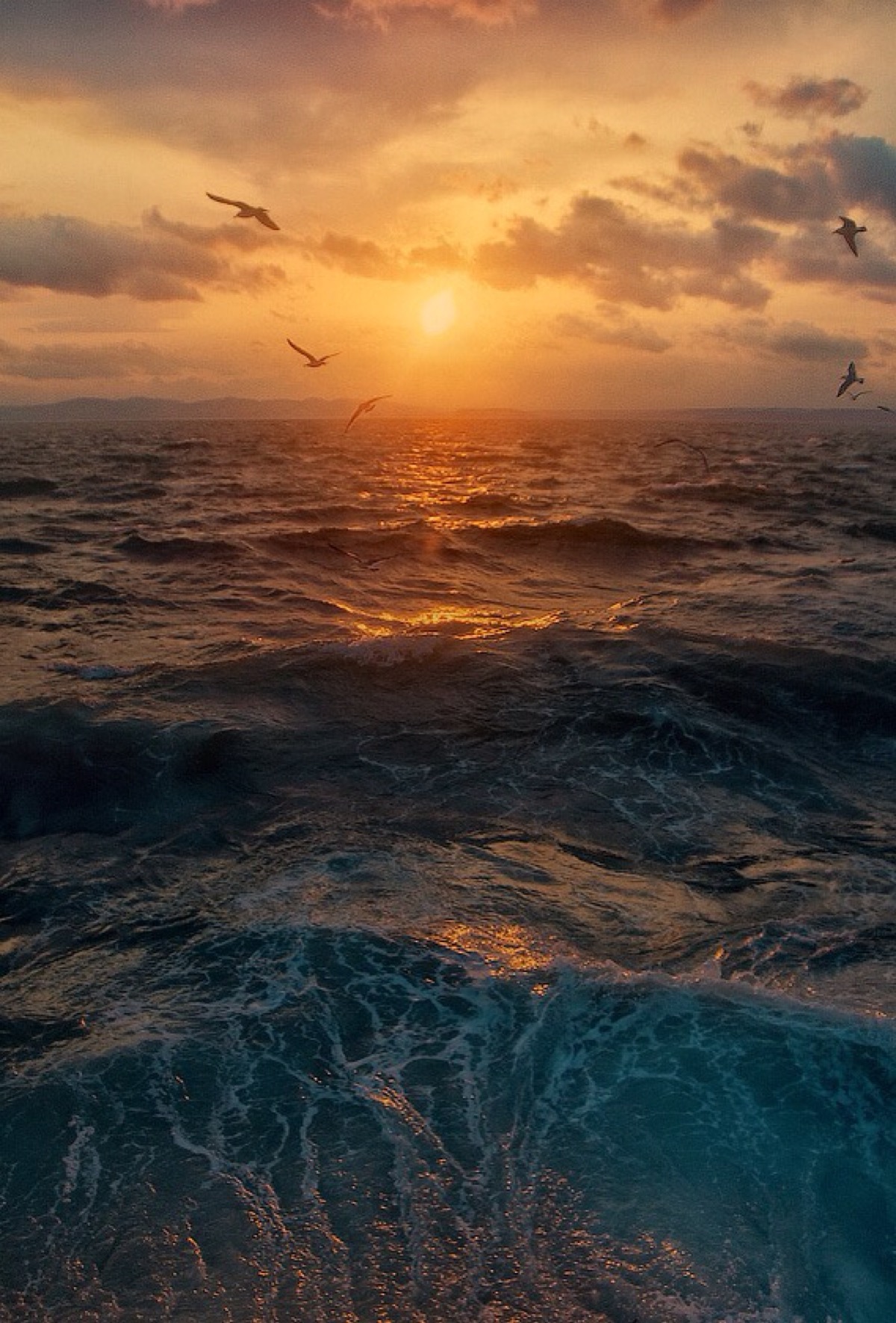 海洋 海水 黄昏 日落西山 自然风光 唯美 iphone手机壁纸 锁屏