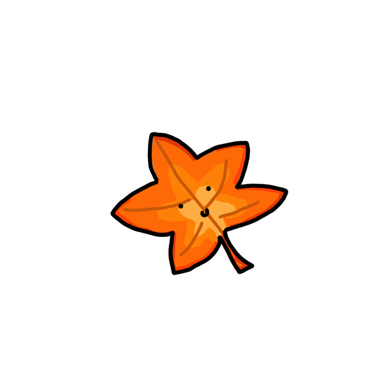 【陈圈圈松鼠头像】——九月了,秋天到了,板栗的季节到了.