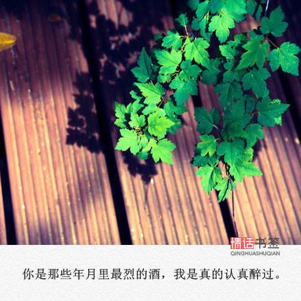 情话##伤感短句##文字句子图片##治愈##青春#励志##唯美##by情话书签