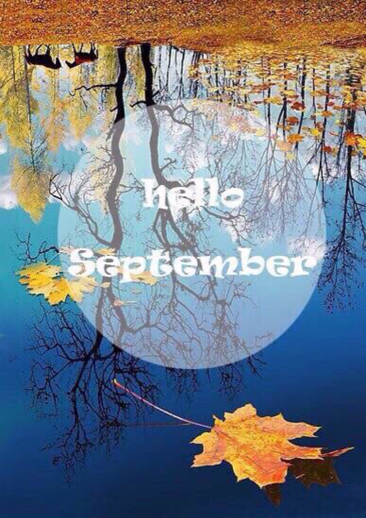 你好 九月 hello,september. 壁纸 插画 素材 唯美 拍摄 文字