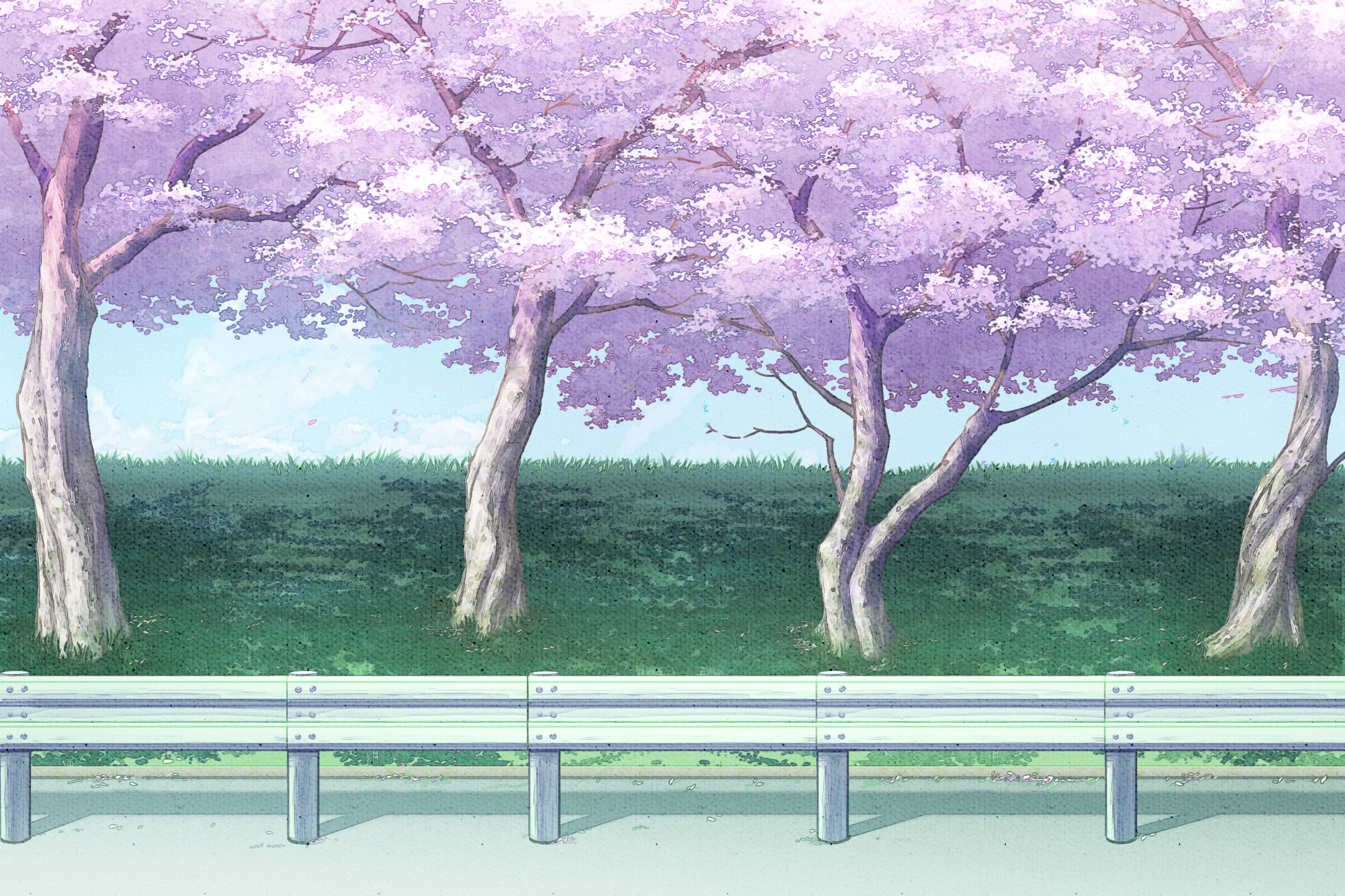 樱花树二次元 壁纸图片