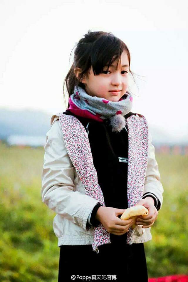 夏天poppy