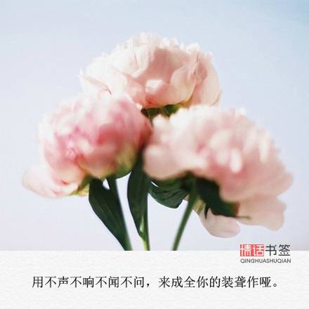 文字控##情话##伤感短句##文字句子图片##治愈##青春#励志##唯美