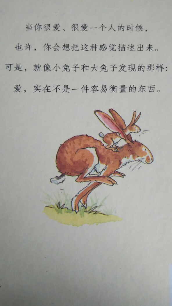 《猜猜我有多爱你》