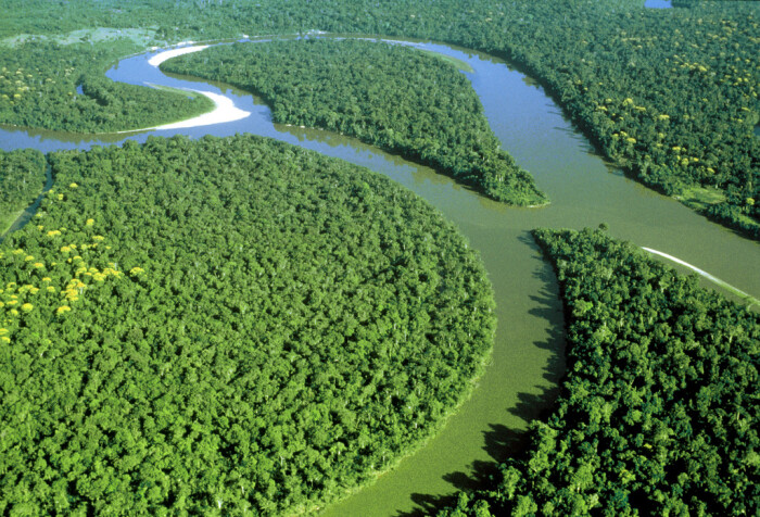 亚马逊河流域的热带雨林大半位于巴西