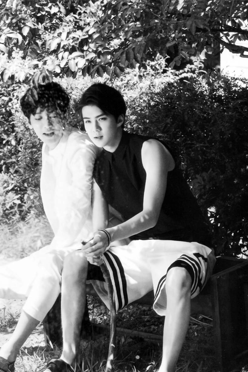 exo sehun chanyeol 竹马line